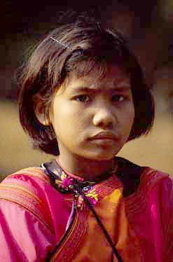 Doi Pui,  Chiang Mai, Thailand, Jacek Piwowarczyk, 1993