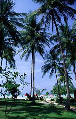 Phi Phi Islands, Thailand, Jacek Piwowarczyk, 2001