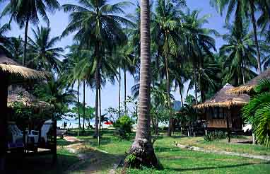 Phi Phi Islands, Thailand, Jacek Piwowarczyk, 2001