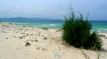 Dam Mon Ha, Around Nha Trang, Vietnam, Jacek Piwowarczyk, 2009