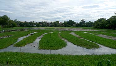 Citadel, Hue, Vietnam, Jacek Piwowarczyk, 2009