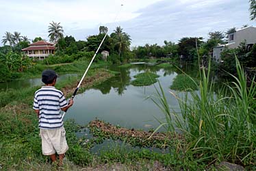 Citadel, Hue, Vietnam, Jacek Piwowarczyk, 2009