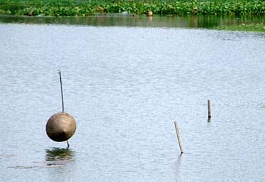 Citadel, Hue, Vietnam, Jacek Piwowarczyk, 2009