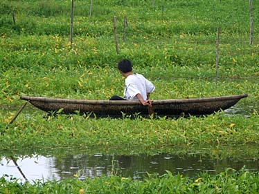 Citadel, Hue, Vietnam, Jacek Piwowarczyk, 2009