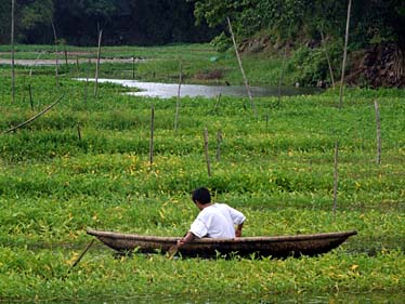 Citadel, Hue, Vietnam, Jacek Piwowarczyk, 2009