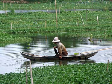 Citadel, Hue, Vietnam, Jacek Piwowarczyk, 2009