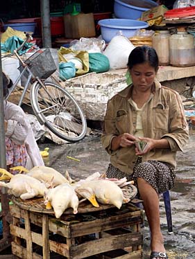 Hue, Vietnam, Jacek Piwowarczyk, 2009