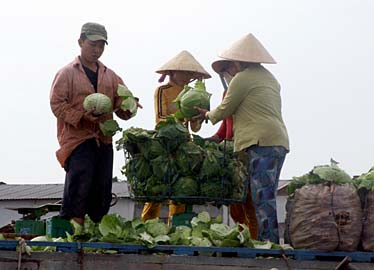 Cai Rang Floating Market, Mekong Delta, Vietnam, Jacek Piwowarczyk, 2009