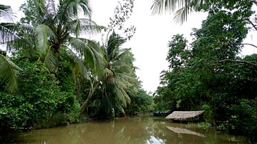 Mekong Delta, Vietnam, Jacek Piwowarczyk, 2009