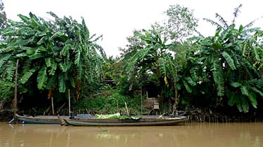 Mekong Delta, Vietnam, Jacek Piwowarczyk, 2009