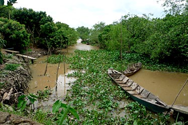 Mekong Delta, Vietnam, Jacek Piwowarczyk, 2009