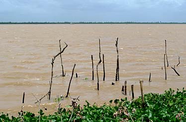 Mekong Delta, Vietnam, Jacek Piwowarczyk, 2009