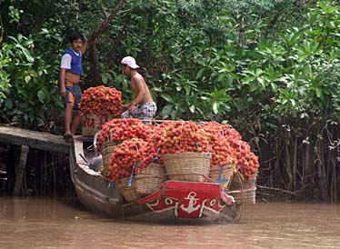 Mekong Delta, Vietnam, Jacek Piwowarczyk, 2009