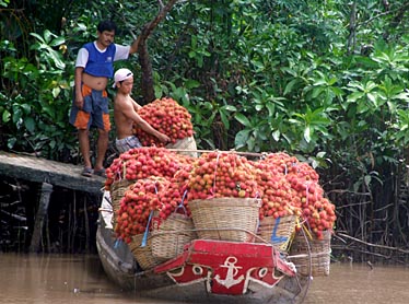 Mekong Delta, Vietnam, Jacek Piwowarczyk, 2009