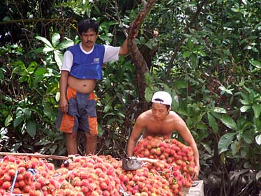 Mekong Delta, Vietnam, Jacek Piwowarczyk, 2009