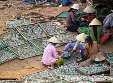 Mui Ne Fishing Village, Vietnam, Jacek PIwowarczyk, 2009