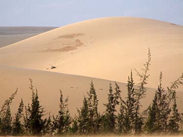 Bao Trang, Mui Ne, Vietnam, Jacek Piwowarczyk, 2009