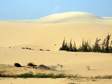 Bao Trang, Mui Ne, Vietnam, Jacek Piwowarczyk, 2009