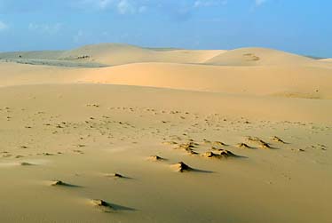 Bao Trang, Mui Ne, Vietnam, Jacek Piwowarczyk, 2009