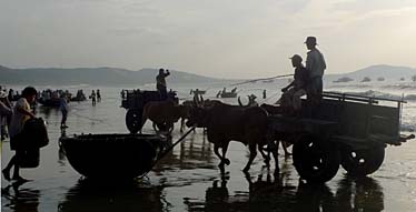 Mui Ne Fishing Village, Vietnam, Jacek Piwowarczyk, 2009