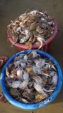 Mui Ne Fishing Village, Vietnam, Jacek Piwowarczyk, 2009