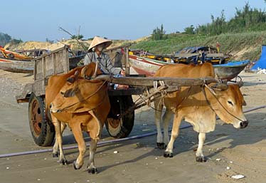 Mui Ne Fishing Village, Vietnam, Jacek Piwowarczyk, 2009