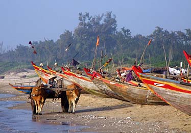 Mui Ne Fishing Village, Vietnam, Jacek Piwowarczyk, 2009