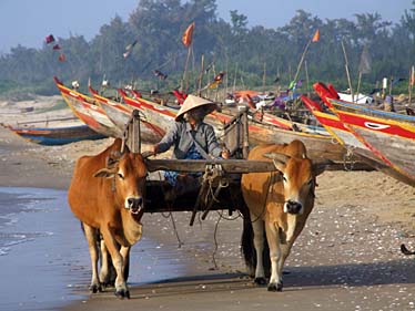 Mui Ne Fishing Village, Vietnam, Jacek Piwowarczyk, 2009