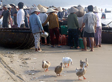 Mui Ne Fishing Village, Vietnam, Jacek Piwowarczyk, 2009