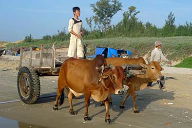 Mui Ne Fishing Village, Vietnam, Jacek Piwowarczyk, 2009