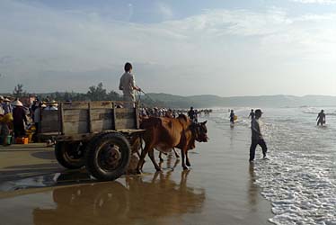 Mui Ne Fishing Village, Vietnam, Jacek Piwowarczyk, 2009